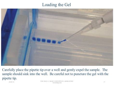 direct loading of gels